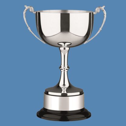 Cambridge Silver Plated Cup