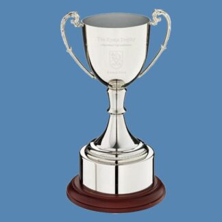 Lincoln Nickel-Plated Cup NC2