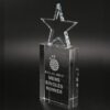 Rose Star Glass Award RC10/2