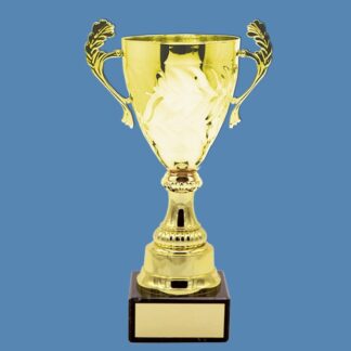 Chrome Presentation Trophy Cup – Gilt-Coloured AA16/1