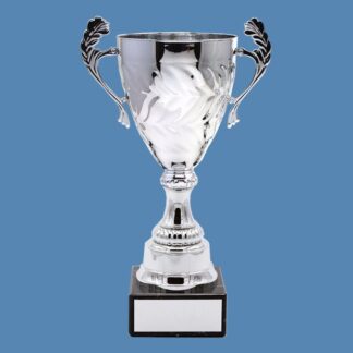 Chrome Presentation Trophy Cup AA16/2