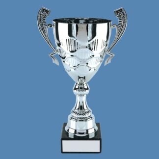 Chrome Presentation Trophy Cup AA16/3