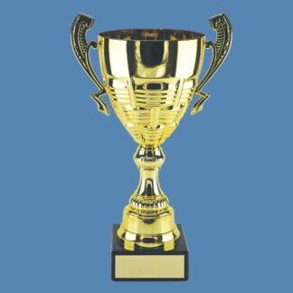 Chrome Presentation Trophy Cup – Gilt-Coloured AA16/4
