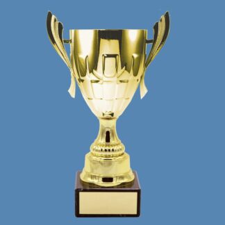 Chrome Presentation Trophy Cup – Gilt-Coloured AA17/2