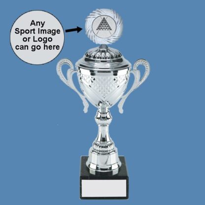 Chrome Presentation Trophy Cup with Centre AA17/4