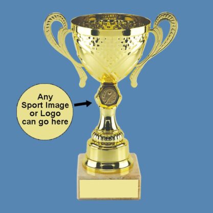 Chrome Presentation Trophy Cup with Centre – Gilt-Coloured AA19/2
