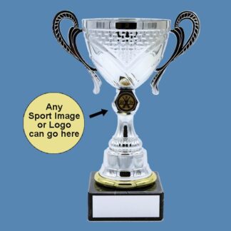 Chrome Presentation Trophy Cup with Centre – Gilt Trim AA21/4