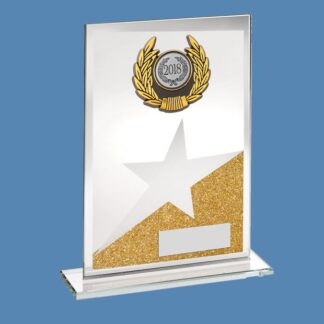 Gold Star Jade Glass Plaque Award AA9/1