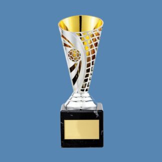 Silver and Gold Defenders Cup Football Trophy BF2/3
