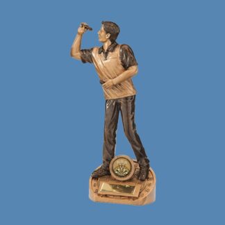 Male Darts Player Resin Trophy BD2/4