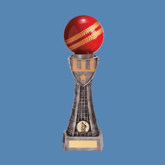 This cricket ball trophy is available to buy online from Fen Regis Trophies in three sizes. Spend £75 for free engraving and delivery.