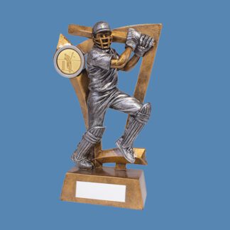 Cricket Batsman Trophy BK2/3