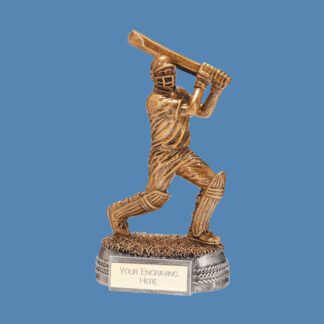 This cricket batsman trophy is available to buy from Fen Regis Trophies online in two sizes. Spend £75 for free engraving and delivery.