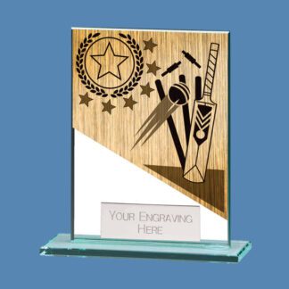 Cricket Glass Plaque Award BK3/9
