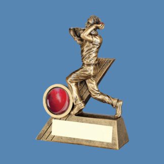 Cricket Bowler Trophy BK4/8