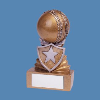 Shield Mini Cricket Award RF19100A/91