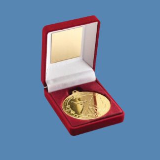 Gold Cricket Medal in Red Velvet Box JR6-TY40A