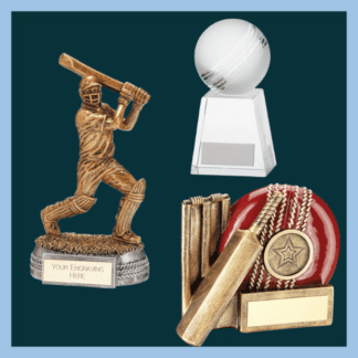 All Cricket Trophies