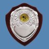 Wooden Replica Football Shield DA4/2 - Image 2