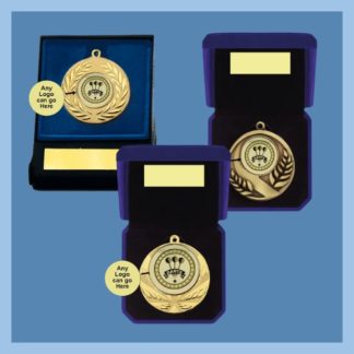 Darts Medals