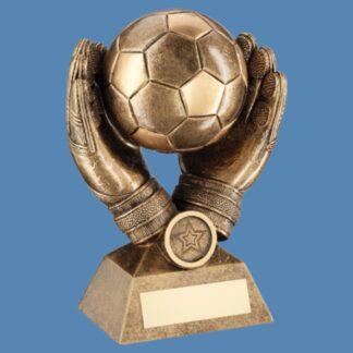 Football in Goalkeeper Gloves Trophy JR1-RF311