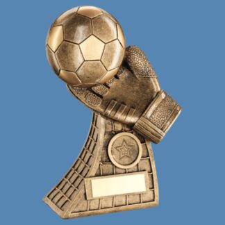 Football and Goalkeeper Glove Trophy JR1-RF599
