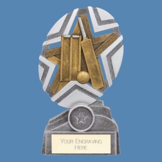 The Stars Cricket Plaque Award PA24237