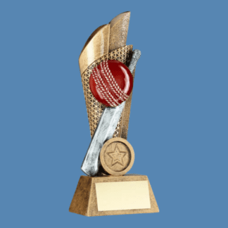Cricket Bat and Ball Mesh Backdrop Trophy JR6-RF326
