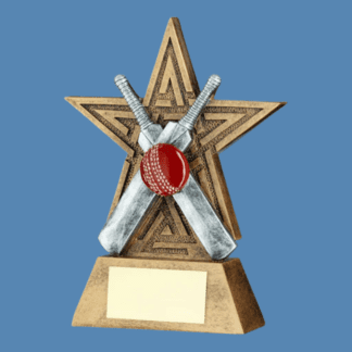 Cricket Star Resin Trophy JR6-RF256