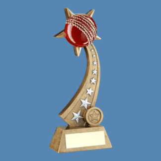 Cricket Ball on Star Trail Trophy JR6-RF306
