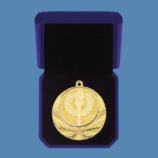 School Medal in Velvet Box DA5/1