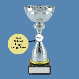 Chrome Presentation Trophy Cup DA22/2