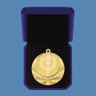 Pool Medal in Velvet Box DA5/1