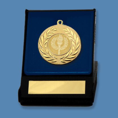 Snooker Medal in Display Box DA5/10