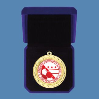 Pool Medal in Velvet Box DA5/3