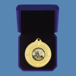 Snooker Medal in Velvet Box DA5/5