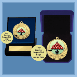 Snooker Medals