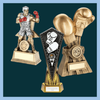 All Boxing Trophies