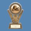 Apex Boxing Award PM24359 - Image 2