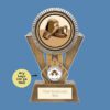 Apex Boxing Award PM24359
