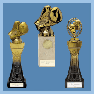 Gold Boxing Trophies