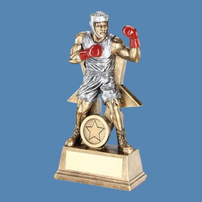 Boxer Star Resin Trophy JR10-RF170