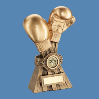 Boxing Gloves and Belt Trophy JR10-RF660