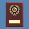 Replica Boxing Oblong Shield DA4/1 - Image 2