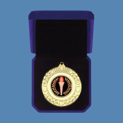 Darts Medal in Velvet Box DA5/6