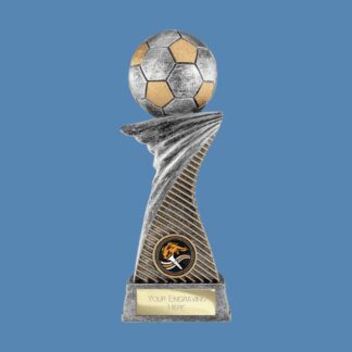 Dynamic Football Award RF26224