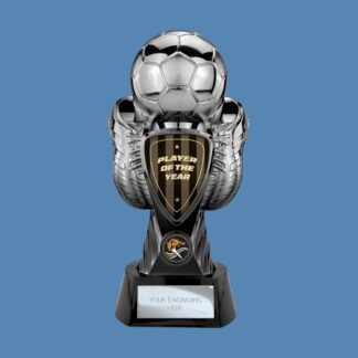 Tournament Heavyweight Player of the Year PA26118