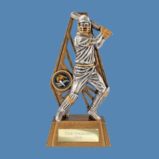 Immense Cricket Batsman Award RF26066