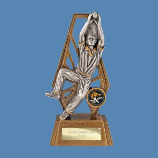 Immense Cricket Fielder Award RF26068