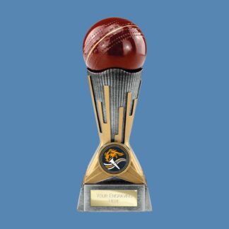 Digital Cricket Award PA26038